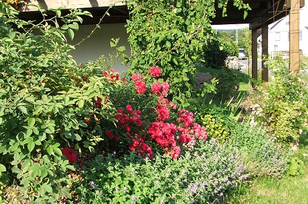 Gartenanlage