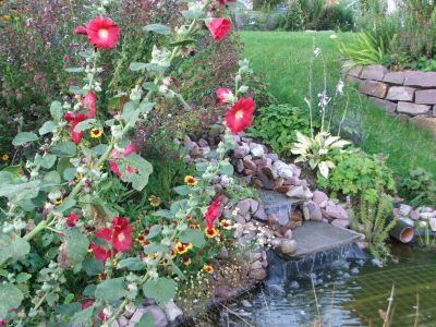 Gartenanlage