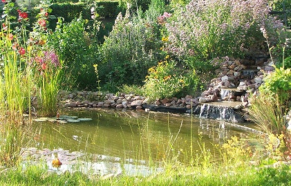 Garten Bild 2