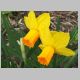 Frühling Bild 10