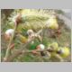 Frühling Bild 11