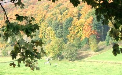Herbstlandschaft