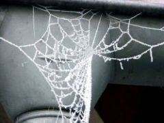 Winter Bild 7