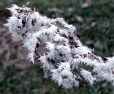 Winter Bild 2