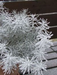 Winter Bild 3