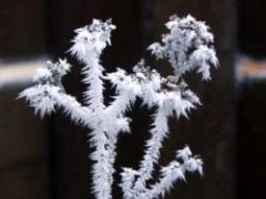 Winter Bild 5