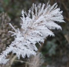 Winter Bild 8