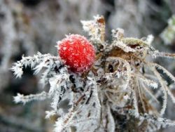 Winter Bild 4