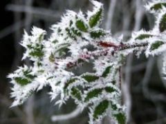 Winter Bild 6