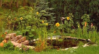 erster Gartenteich