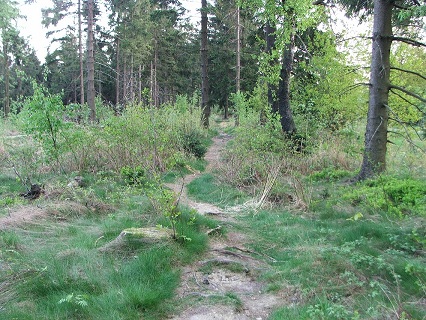 Eggewanderweg