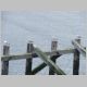 Tynemouth Bild 6