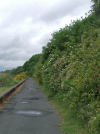 Wegstrecke durch Newcastle