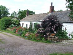 Cottage Garden