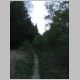 Birkenwaldweg