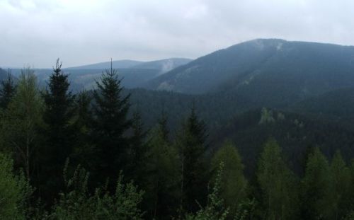 Blick über den Harz