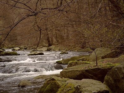 Harz