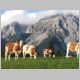 Steiermark