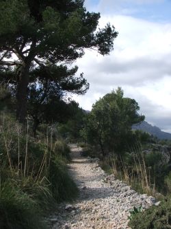 Wanderweg zum Cuculla