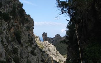 Blick zum Ende der Schlucht