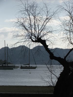Schiffe im Hafen vor den Bergen