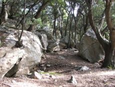 Uriger Wanderweg