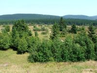 Hochheidegebiet