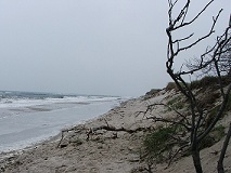 Ostseestrand